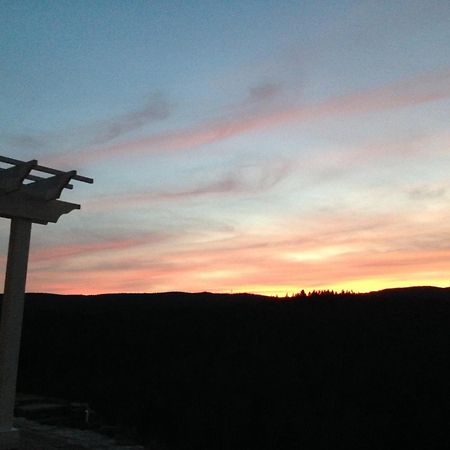 Adams Hill House Retreat - Artist-Architect'S Estate, Newfane Vermont Dış mekan fotoğraf