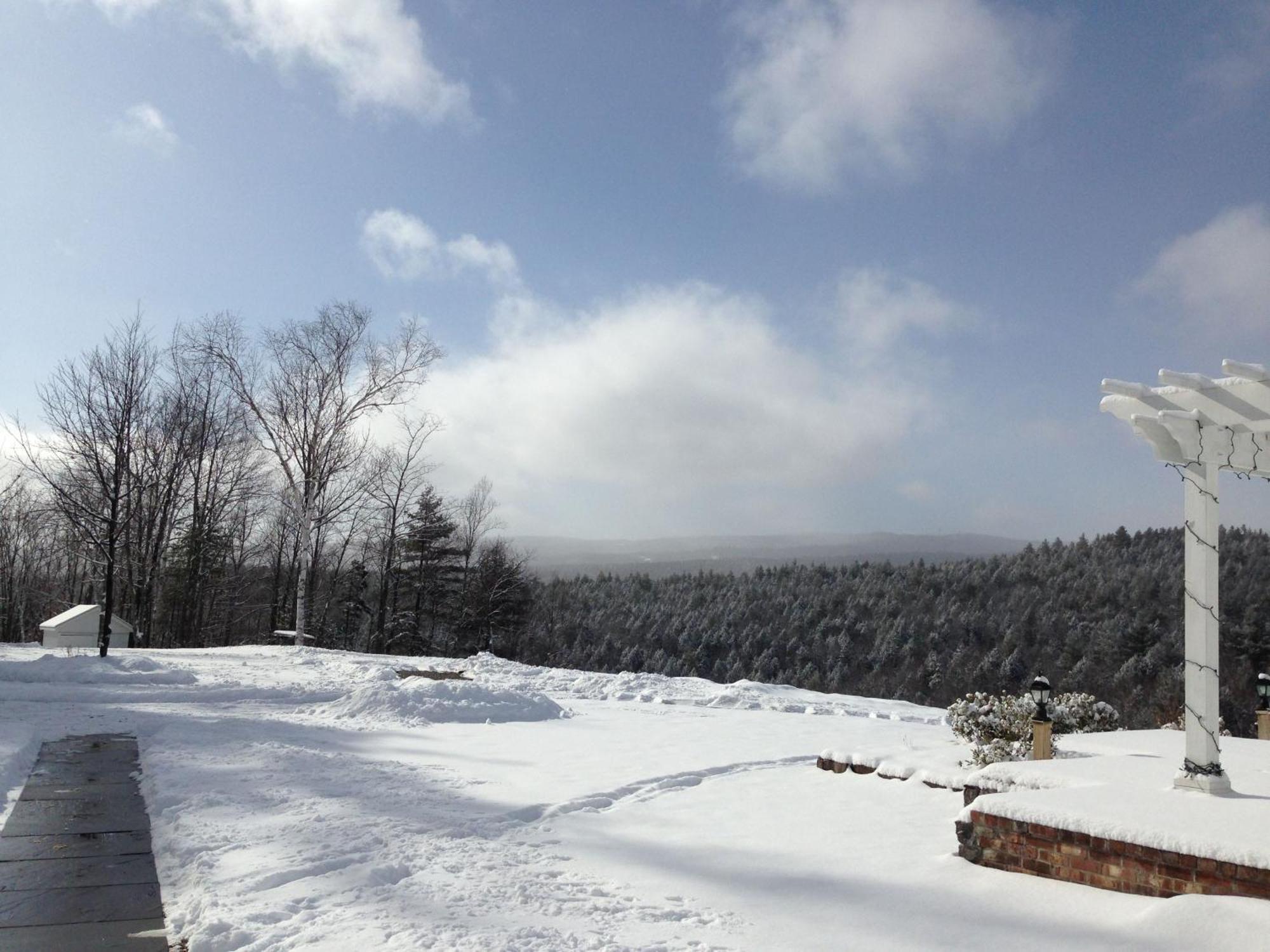 Adams Hill House Retreat - Artist-Architect'S Estate, Newfane Vermont Dış mekan fotoğraf